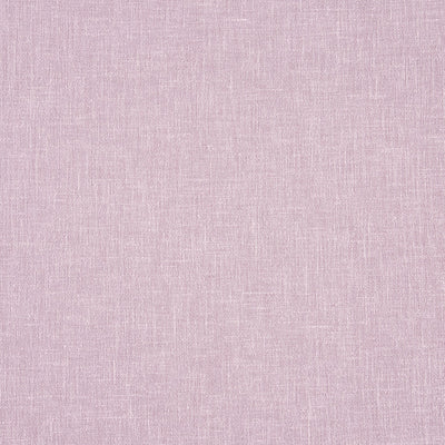 Drift Rose