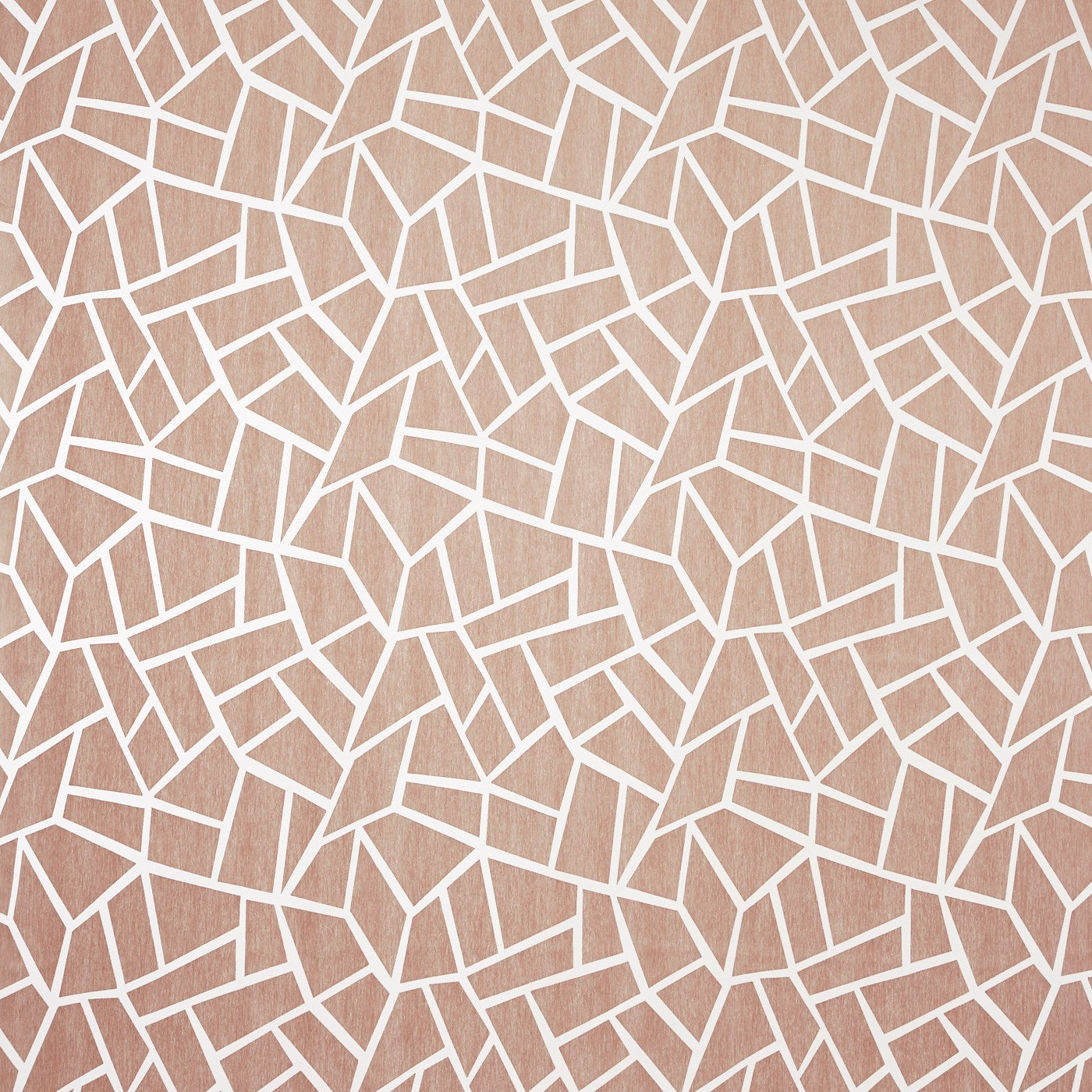 Belvadere Blush