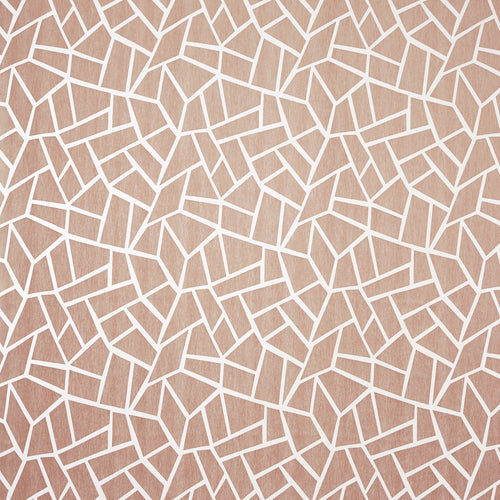 Belvadere Blush