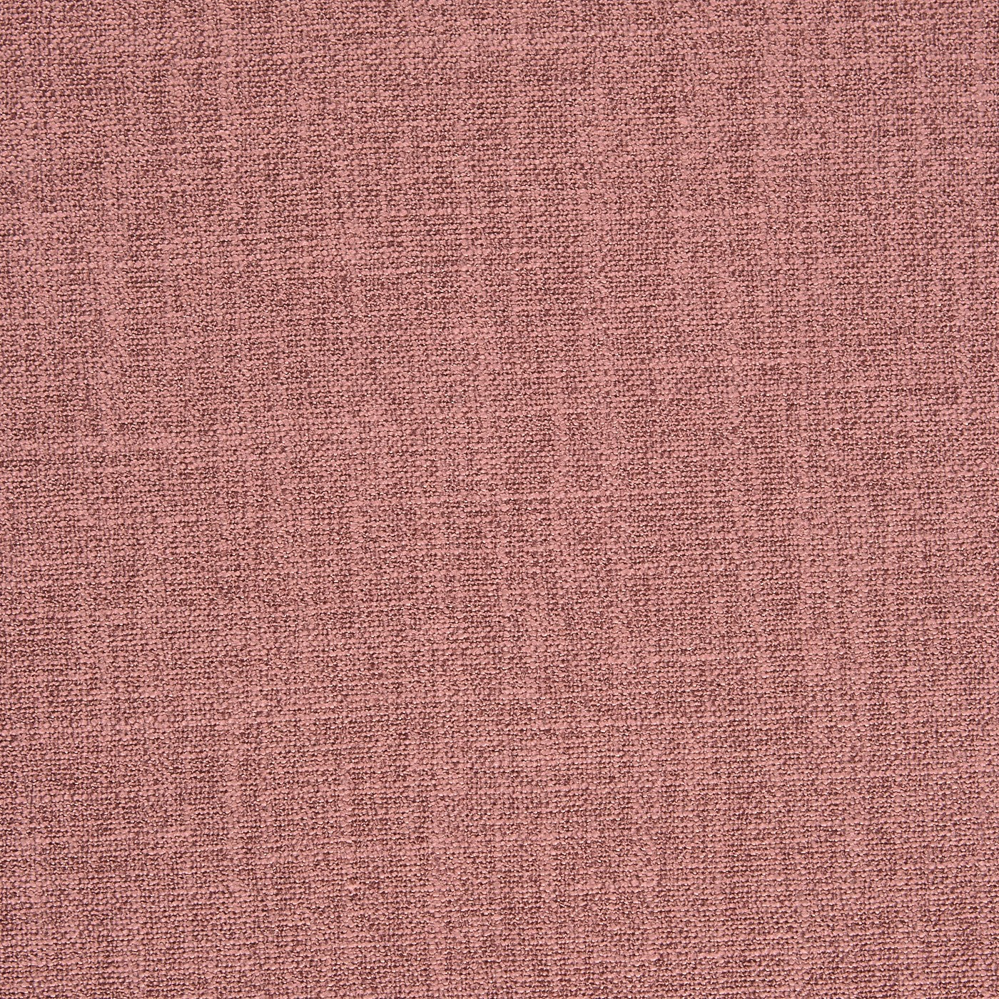 Whisp Rosebud