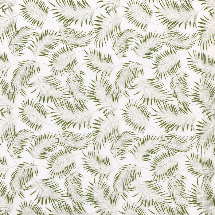 Rey Palm
