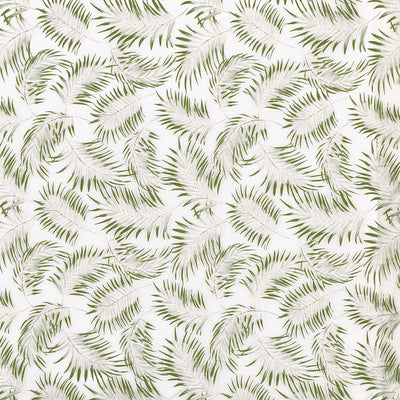 Rey Palm