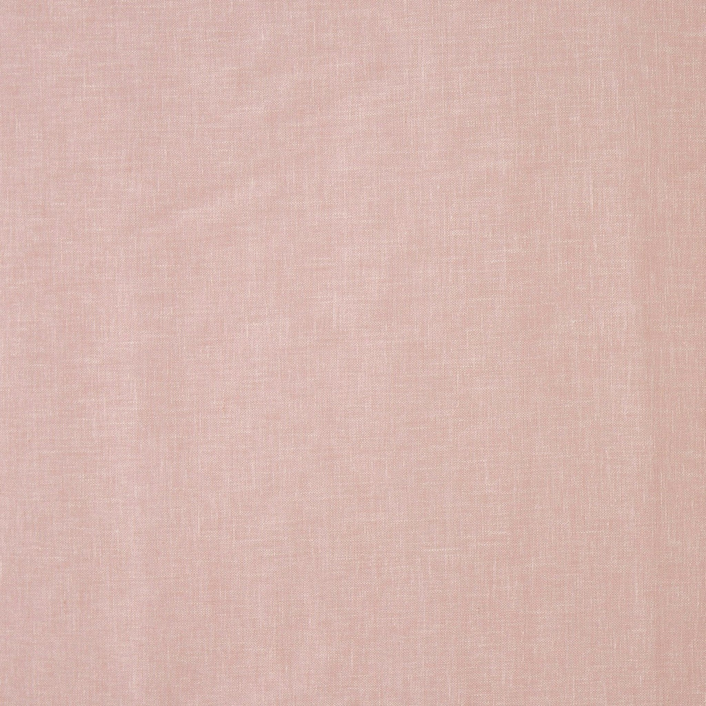 Mist Rose