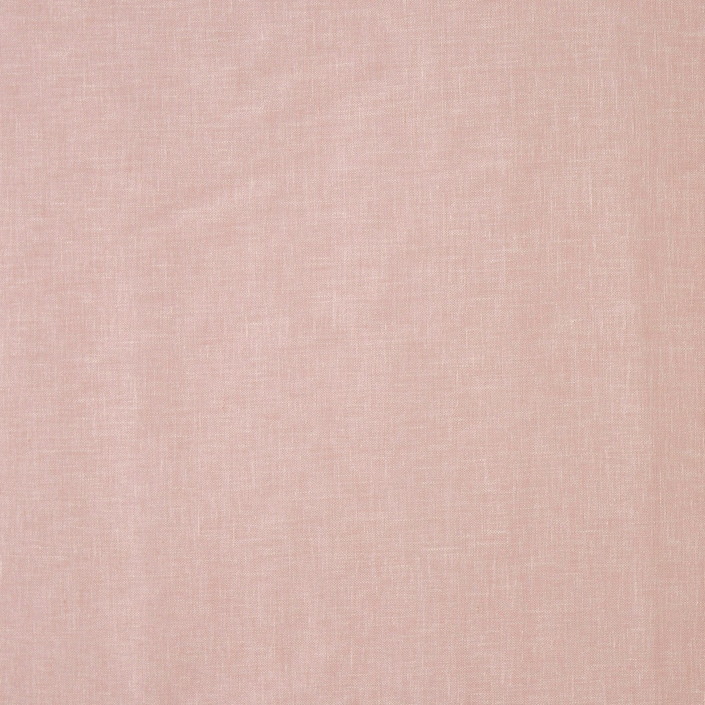 Mist Rose