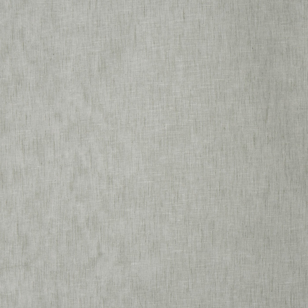 Mist Birch