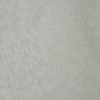 Mist Birch