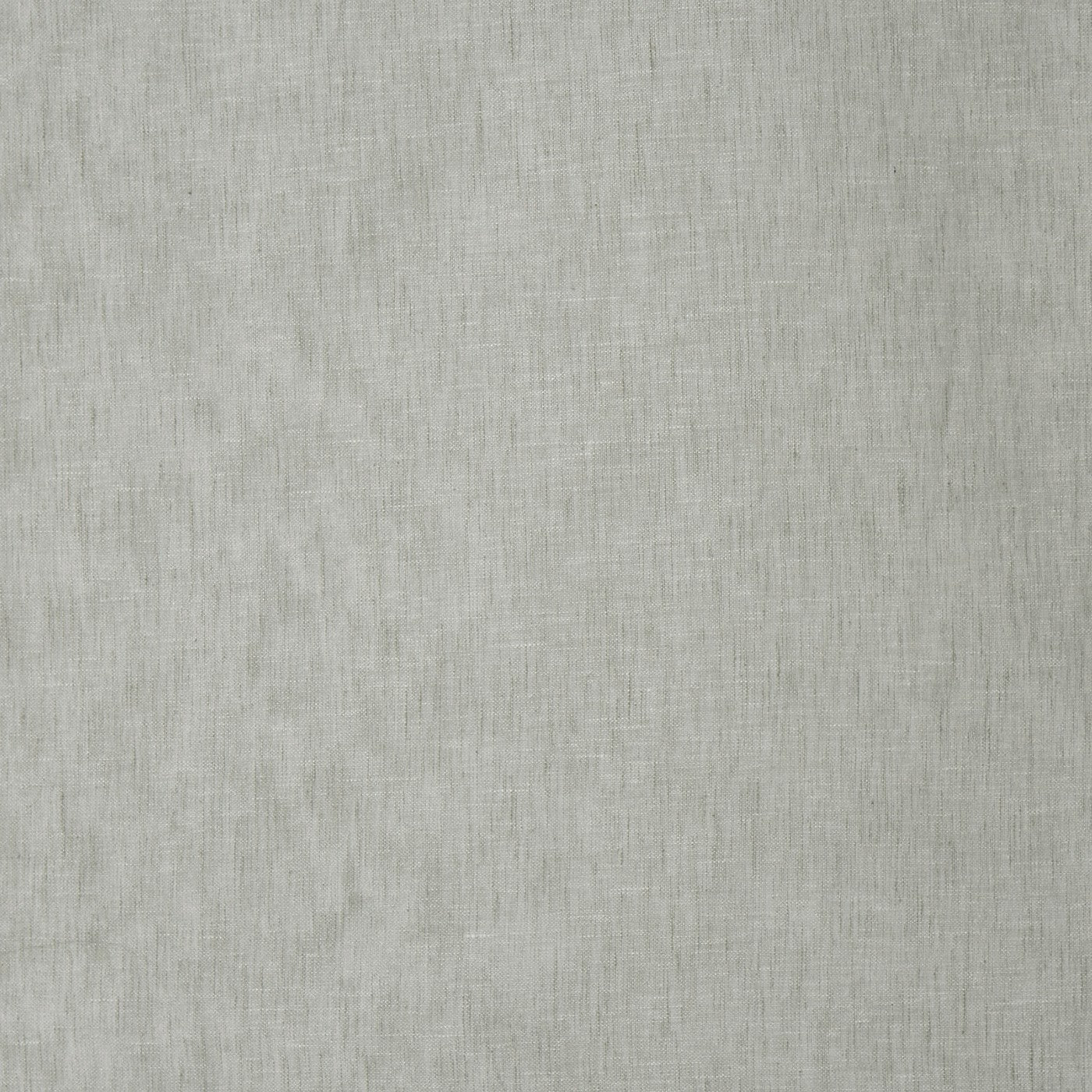 Mist Birch