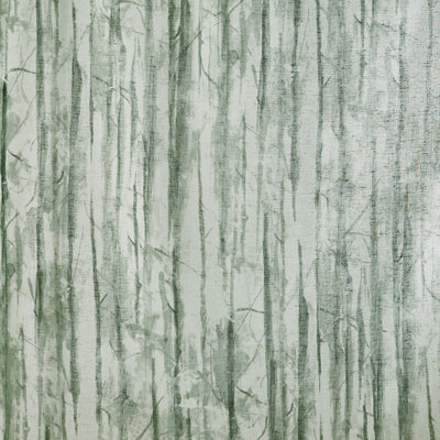 Evergreen Apple