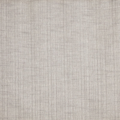 Alba Fossil