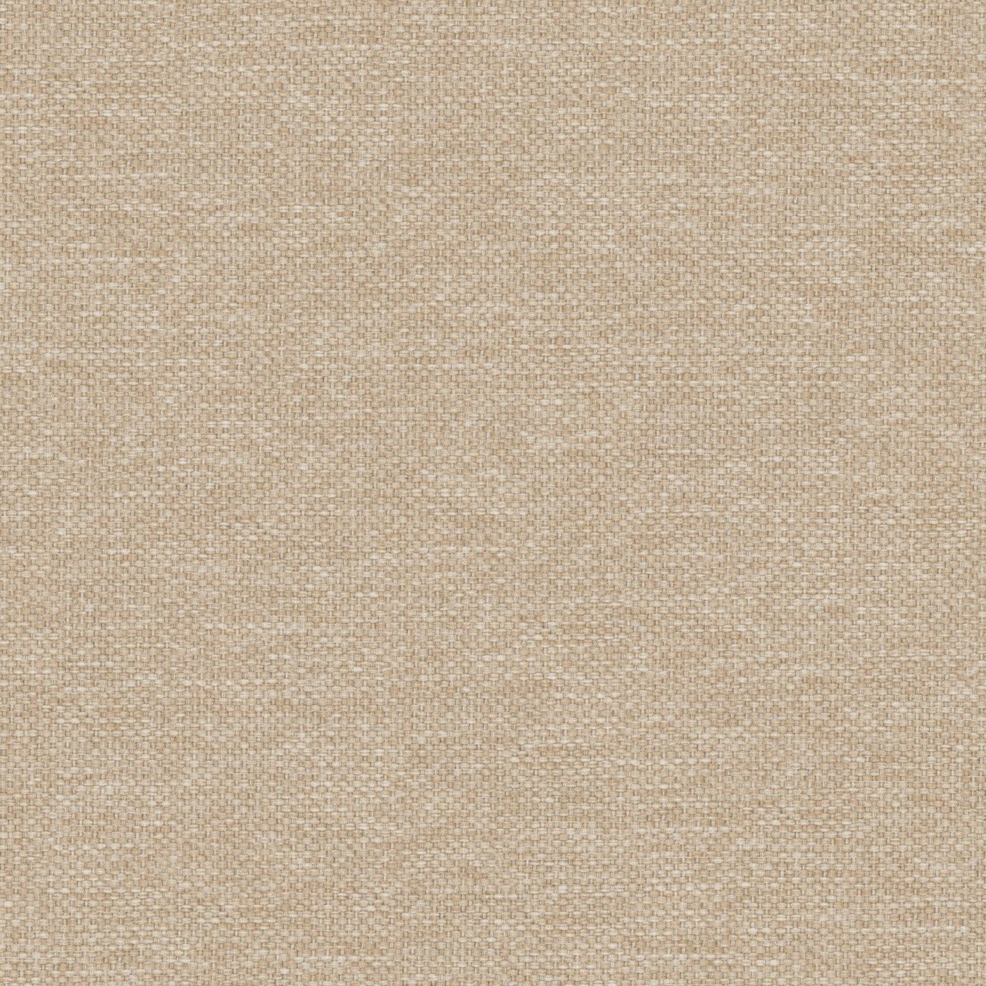 Dawson Sandstone