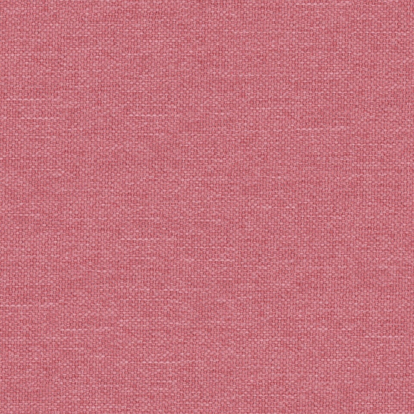 Dawson Peony