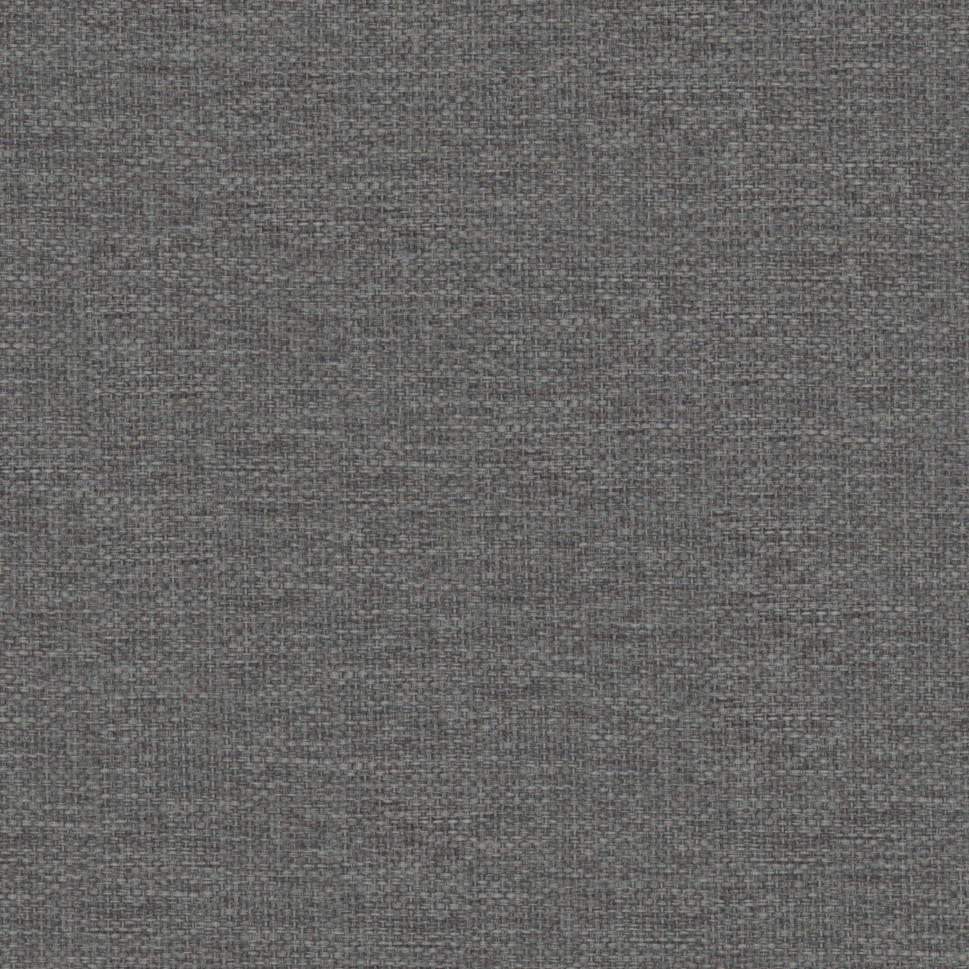 Dawson Charcoal