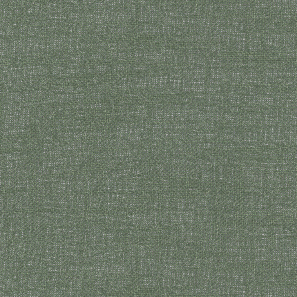 Mistral Olive