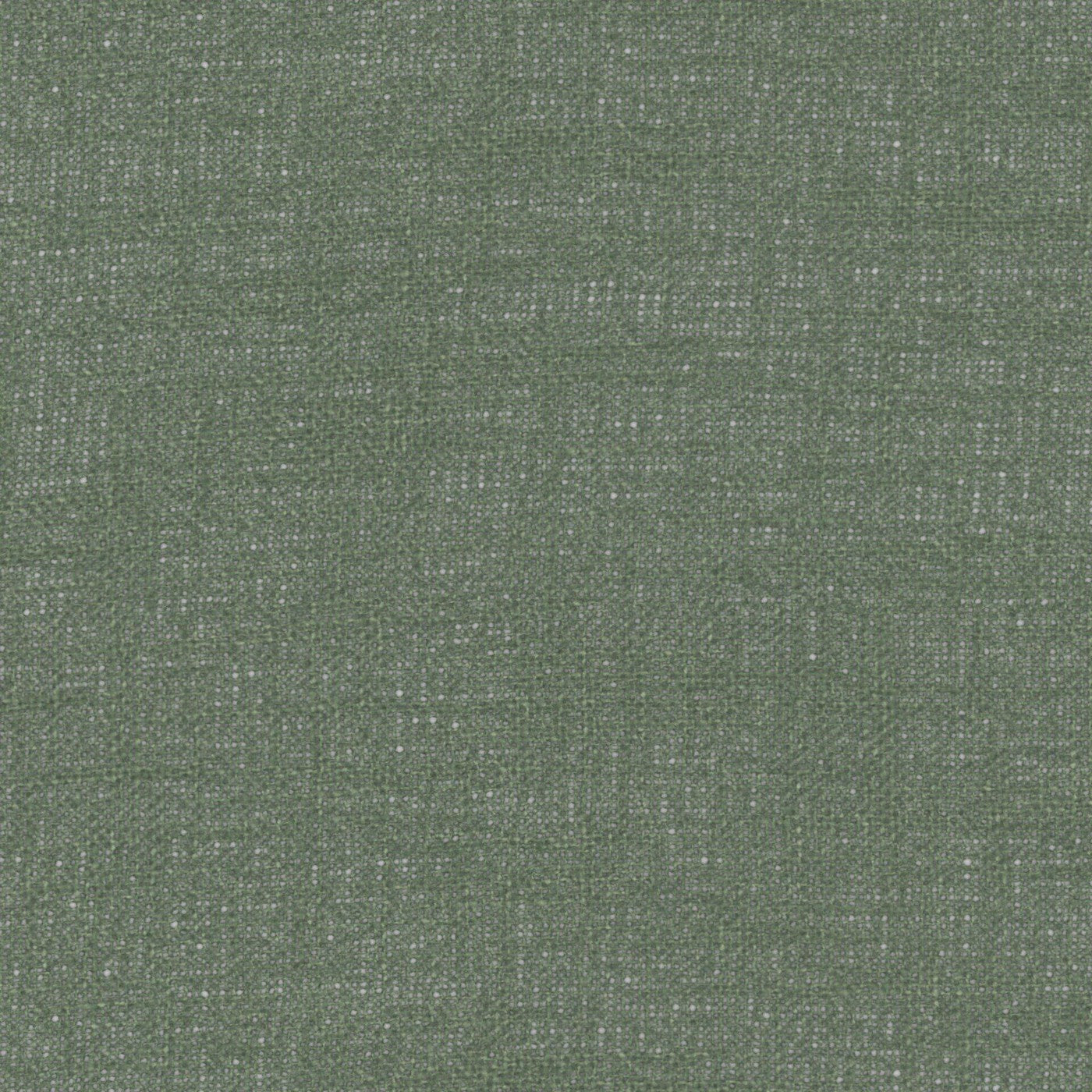 Mistral Olive