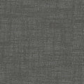 Mistral Charcoal