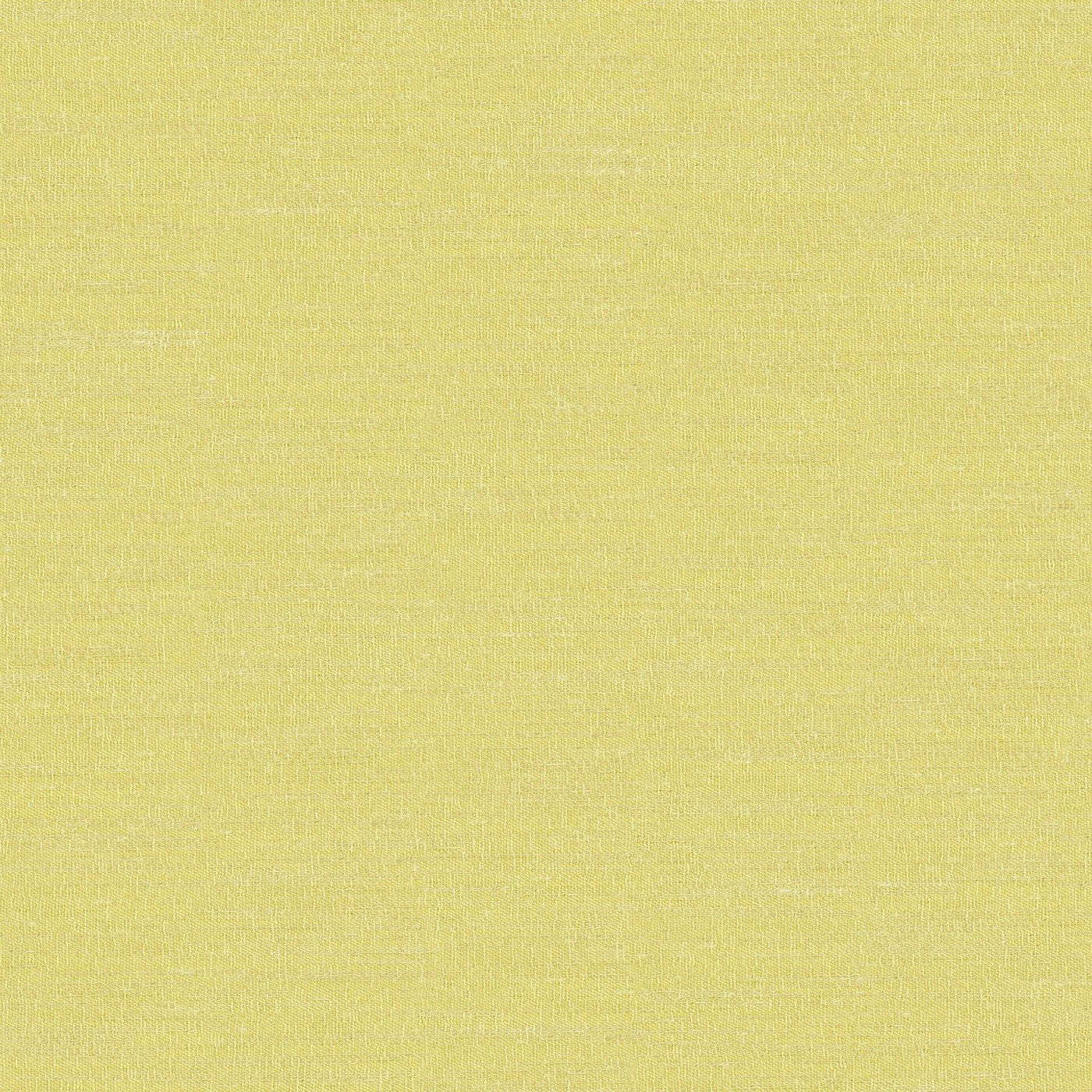 Boutique Lime