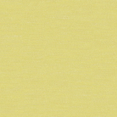 Boutique Lime