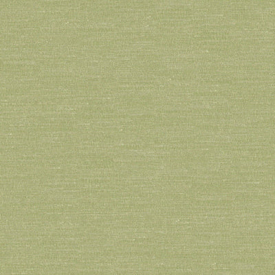 Boutique Pistachio