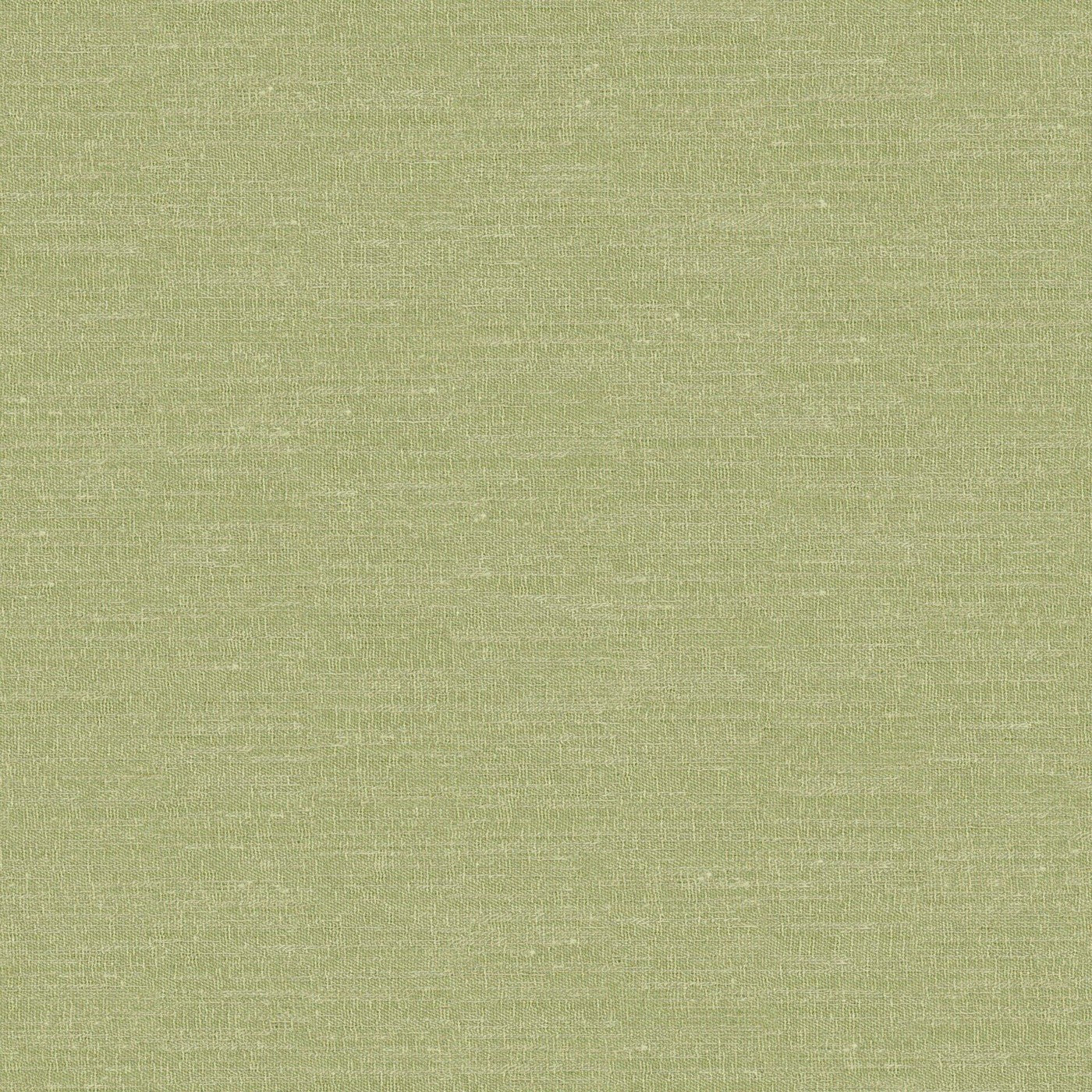 Boutique Pistachio