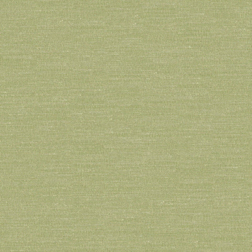 Boutique Pistachio