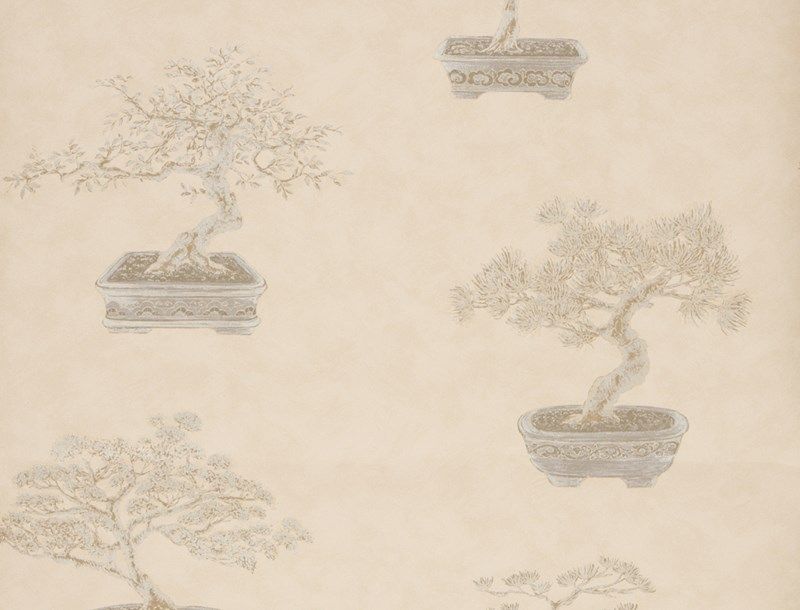 CEDROS WALLPAPER (The Scarlet Letter)