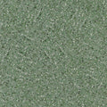 Pavonazzo Emerald (Tulipa Stellata)