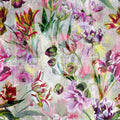 Tulipa Stellata Fuchsia (Scenes and Murals)