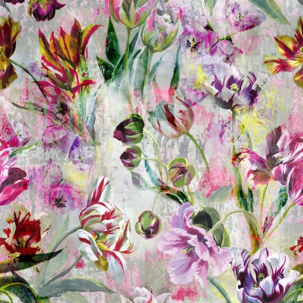 Tulipa Stellata Fuchsia (Scenes and Murals)