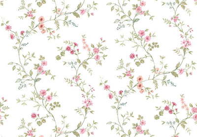 BLOOMING GARDEN Narcisa 8356