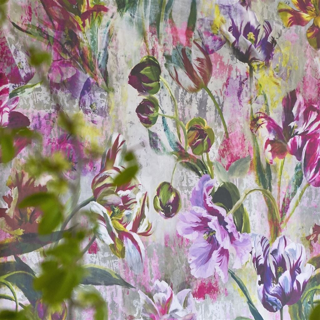 Tulipa Stellata Fuchsia (Scenes and Murals)