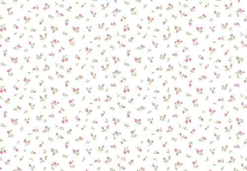 BLOOMING GARDEN Clio 8371