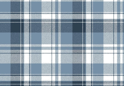 BLOOMING GARDEN Tartan 8387