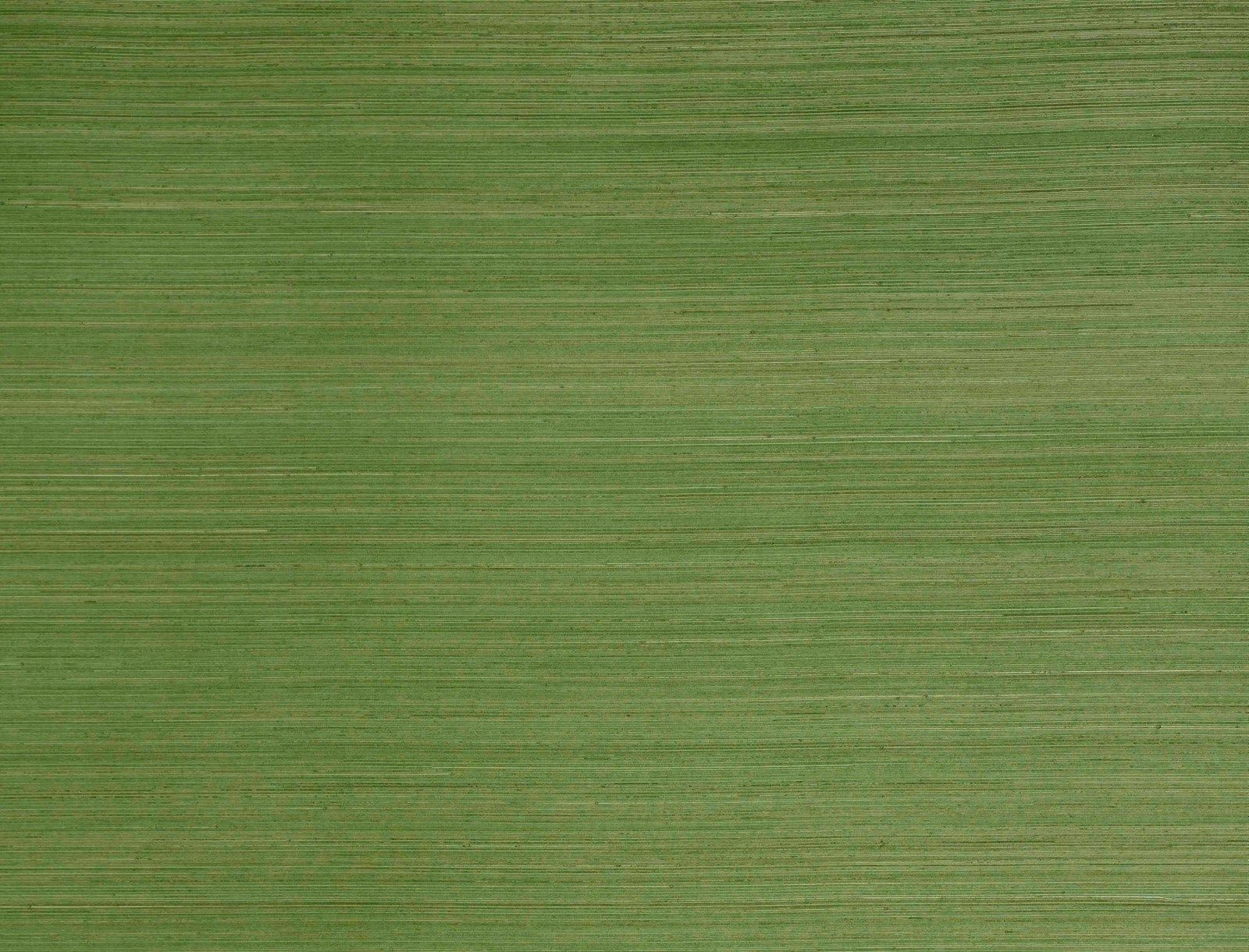 ABACA WALLPAPER (Abaca Wallcovering)
