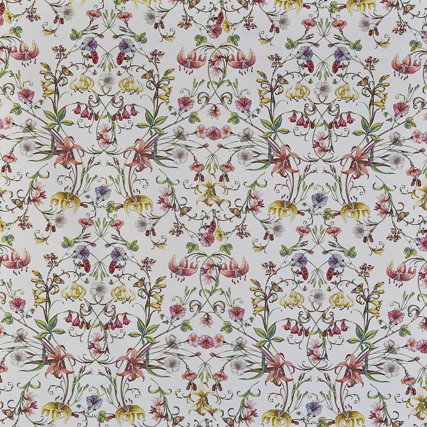 Carlotta Blossom