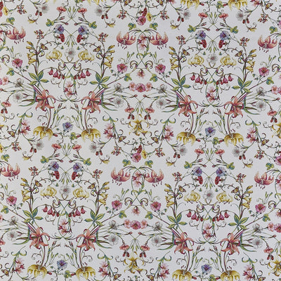 Carlotta Blossom