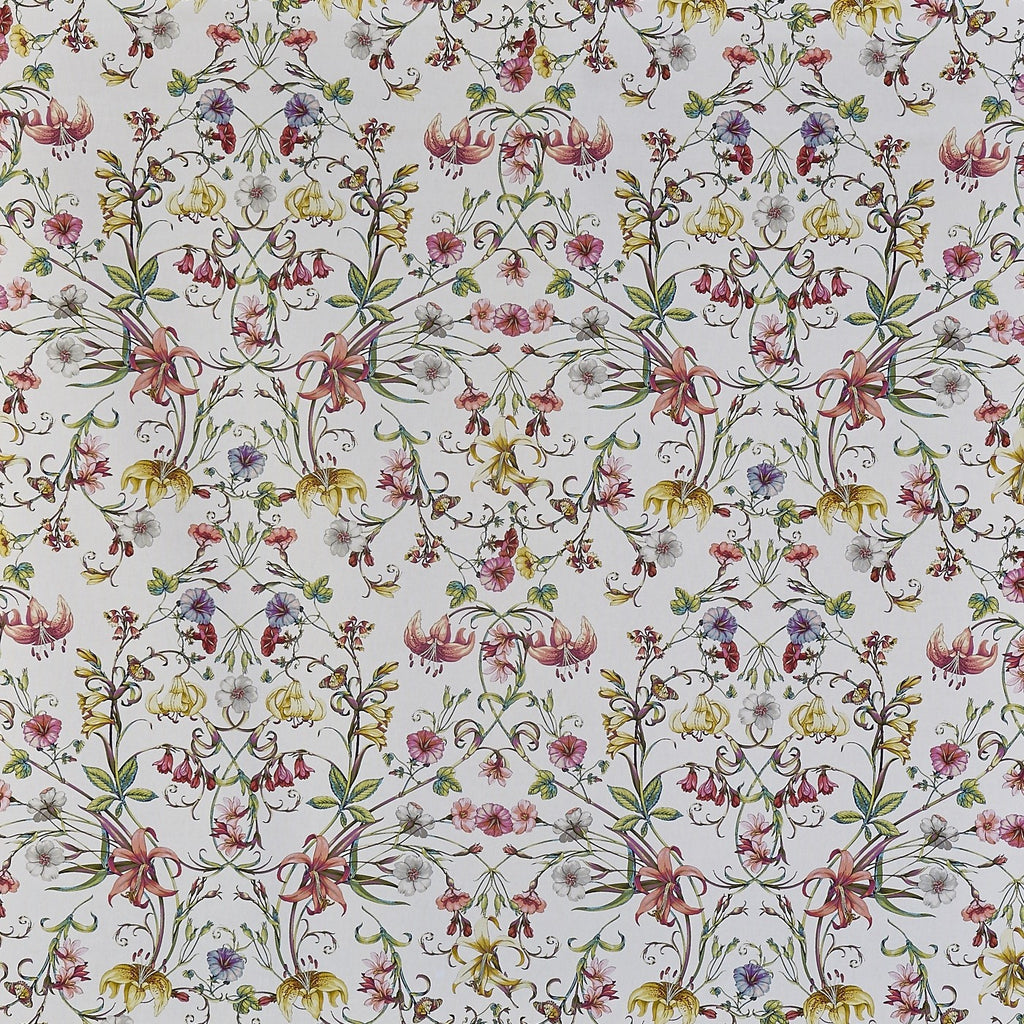 Carlotta Blossom