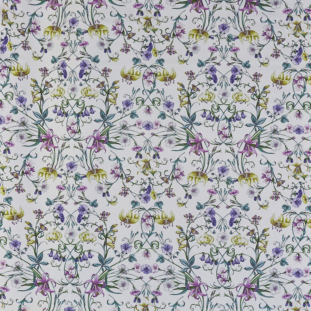 Carlotta Wisteria