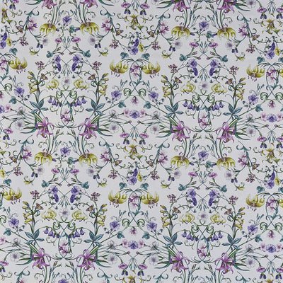 Carlotta Wisteria