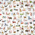 Animal Alphabet Paintbox