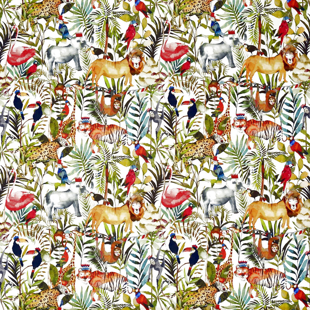 King Of The Jungle Safari