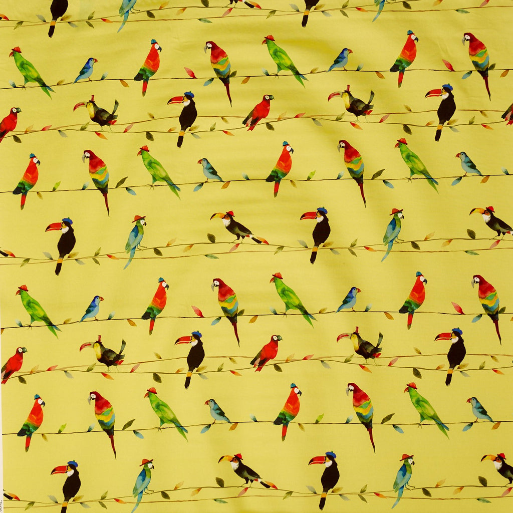 Toucan Talk Zest