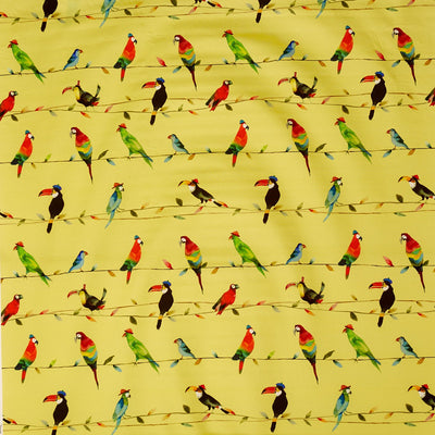 Toucan Talk Zest