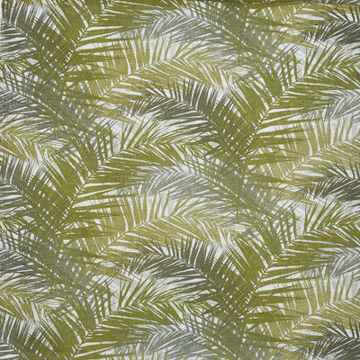 Jungle Palm