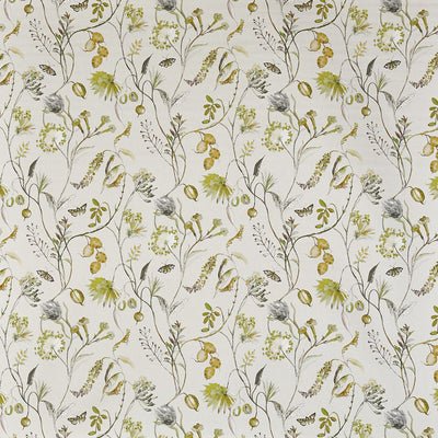 Grove Fennel