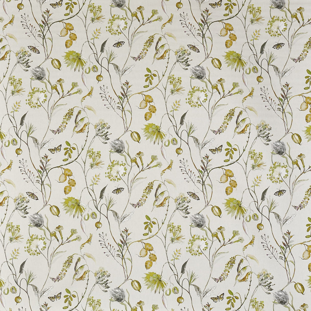 Grove Fennel