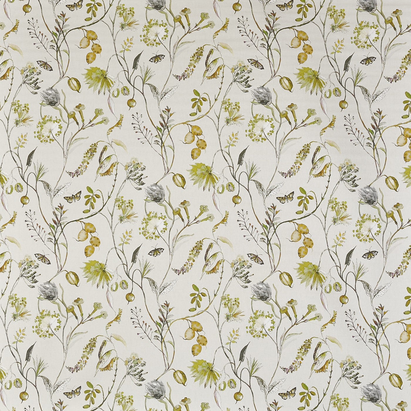 Grove Fennel