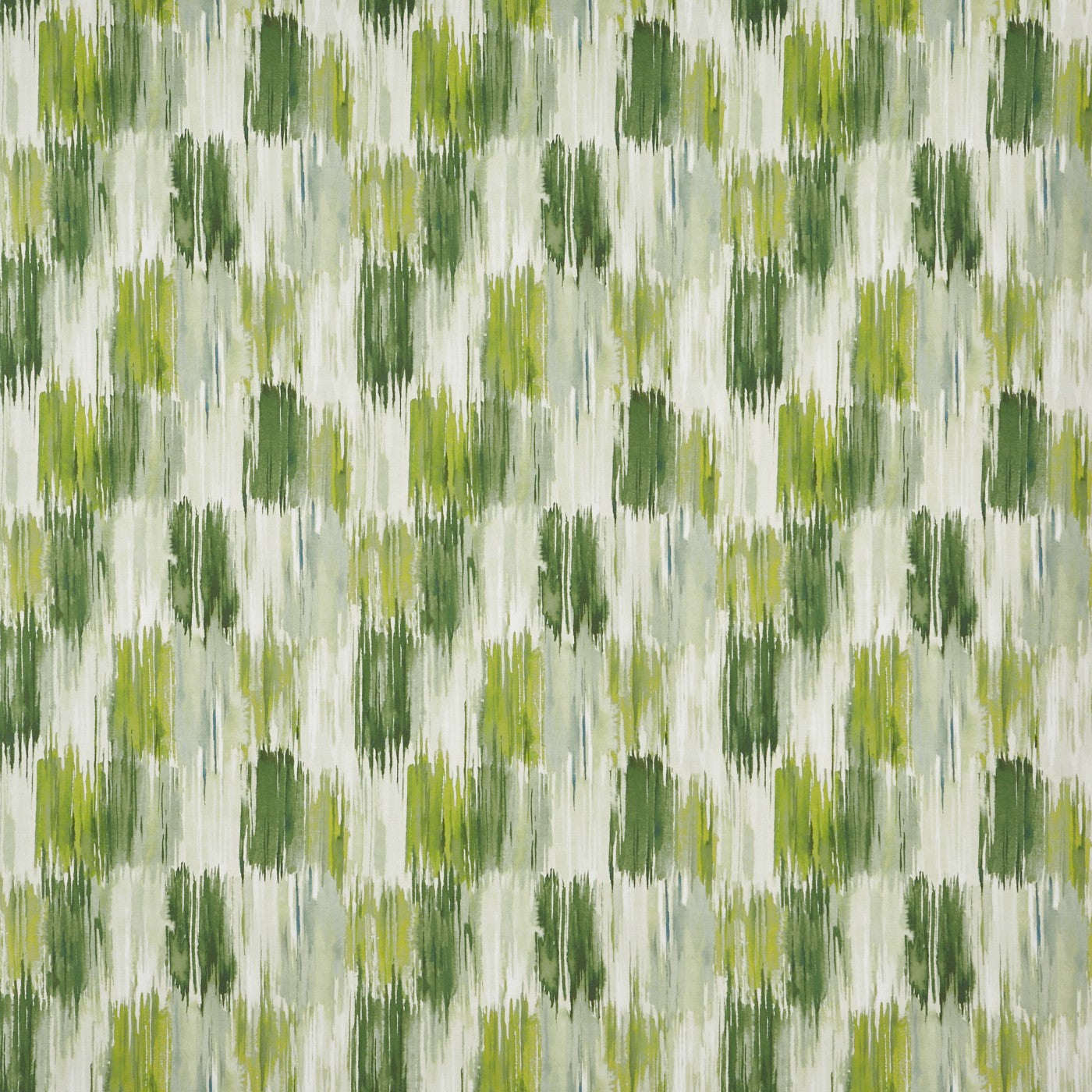 Long Beach Cactus