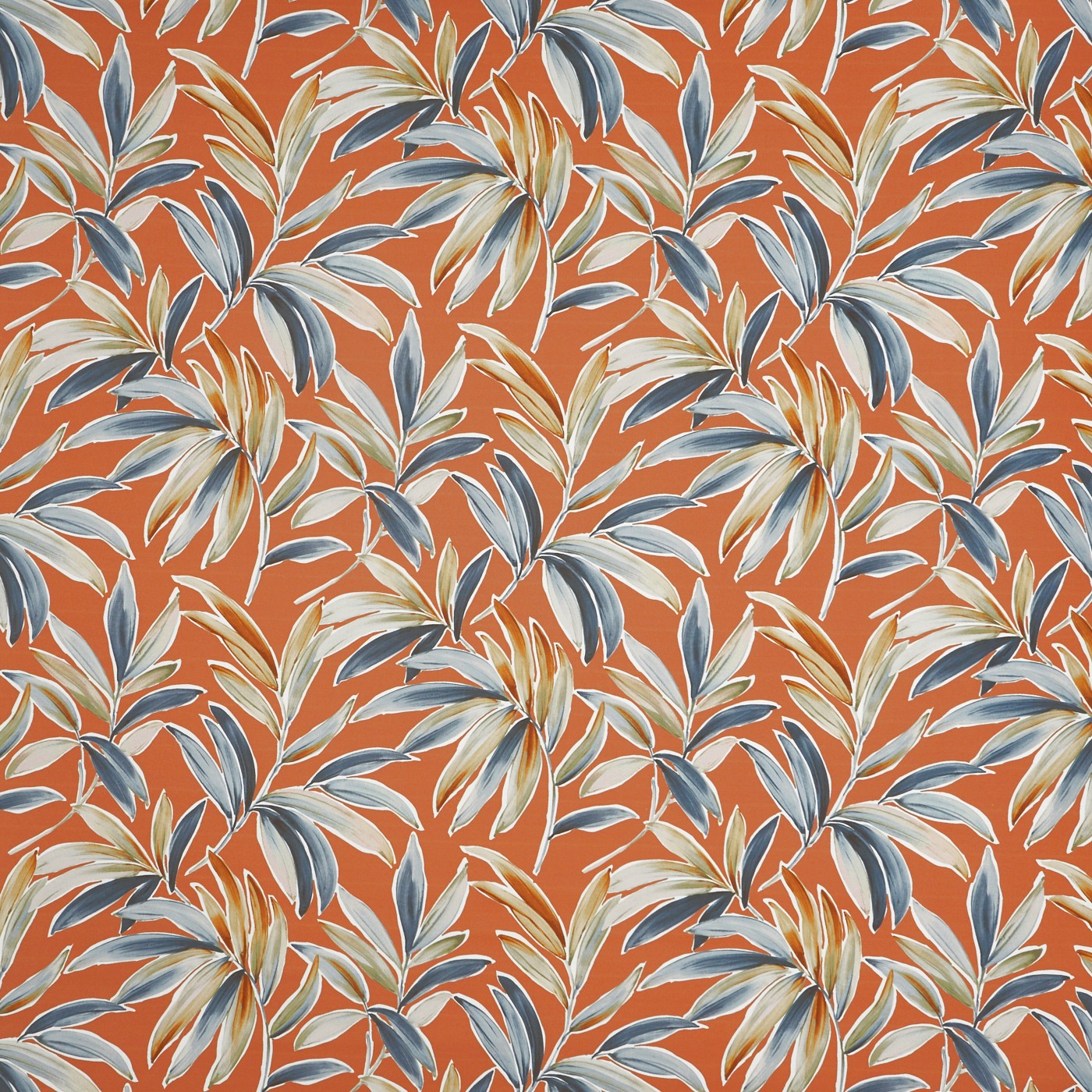 Ventura Tango