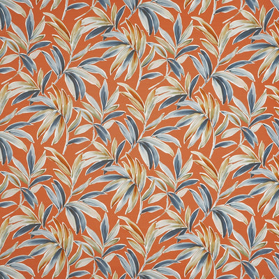 Ventura Tango