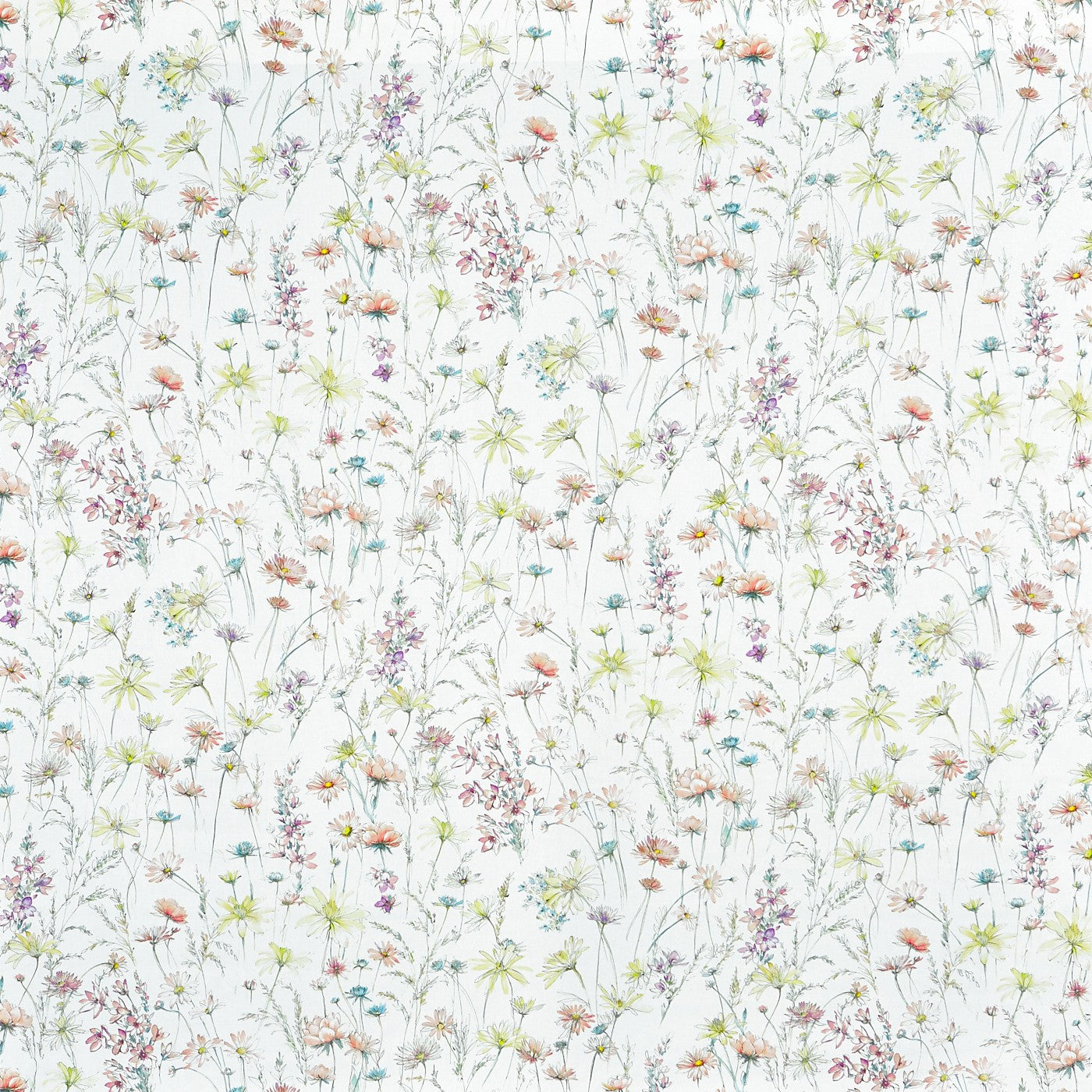 Marie Blossom